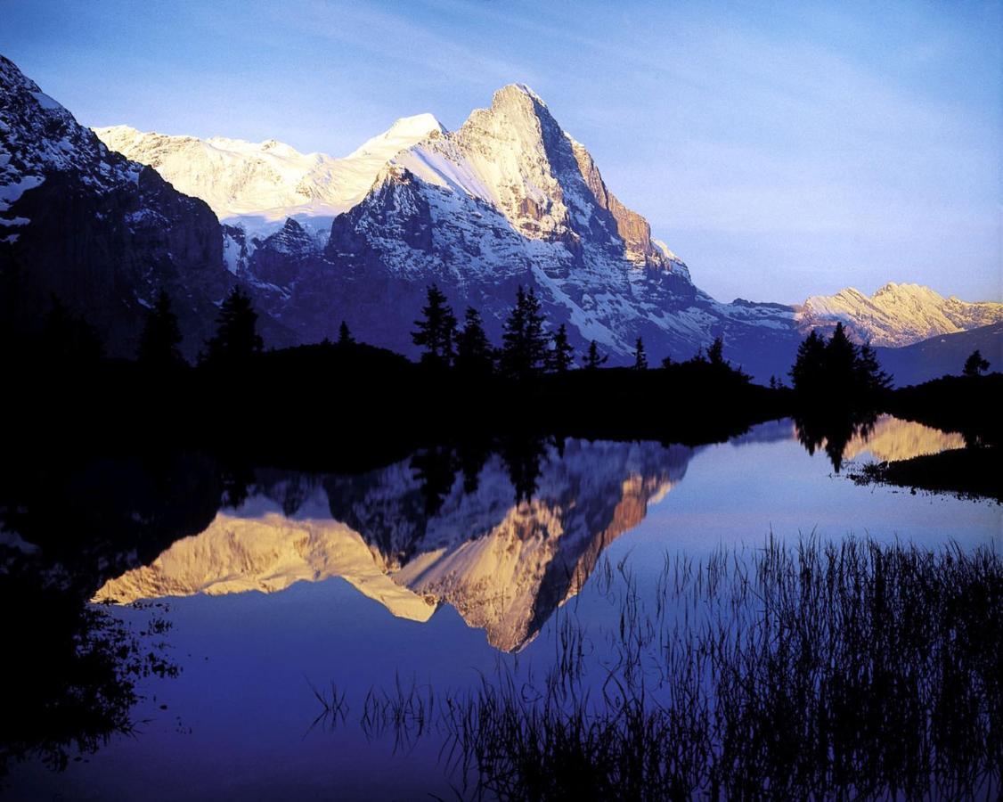 Апартаменты Luxury, New - Amazing Views Grindelwald Eiger Jungfrau Moench Экстерьер фото
